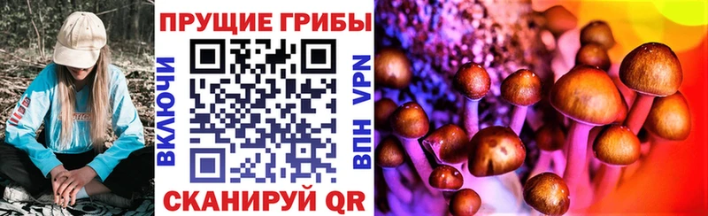 Псилоцибиновые грибы прущие грибы Мамоново